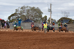 202504motox_2025-04-21_0117.jpg
