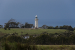 202204_Tassie_394.jpg