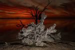 202502sunset_2025-03-22_Lake_Bonney_091.jpg