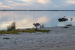 202502sunset_2025-03-22_Lake_Bonney_040.jpg