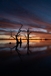202502sunset_2025-03-22_Lake_Bonney_152.jpg