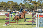 2024-03-29_Horses_00158.jpg