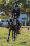 2024-03-31_Horses_00165.jpg