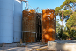 202501winery_2025-03-31_074.jpg