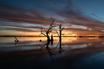202502sunset_2025-03-22_Lake_Bonney_140.jpg