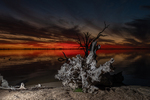 202502sunset_2025-03-22_Lake_Bonney_109.jpg
