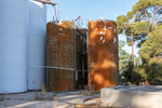 202501winery_2025-03-31_073.jpg
