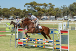 2024-03-29_Horses_02600.jpg