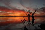 202502sunset_2025-03-22_Lake_Bonney_095.jpg