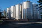 202501winery_2025-03-31_094.jpg