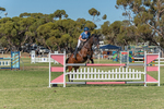 2024-03-31_Horses_00998.jpg
