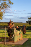 202501winery_2025-03-31_175.jpg