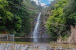 2017_Waterfall_Gully_19.jpg