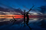 202502sunset_2025-03-22_Lake_Bonney_117.jpg