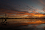 202502sunset_2025-03-22_Lake_Bonney_081.jpg