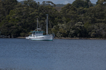 202204_Tassie_030.jpg