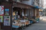 Japan_D_0670.jpg