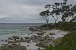 2014_Tassie_0392.jpg