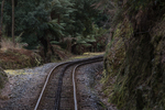 202204_Tassie_200.jpg