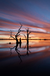 202502sunset_2025-03-22_Lake_Bonney_150-EditAnd12more_fused.jpg