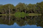 202102_Riverland_037.jpg