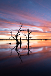 202502sunset_2025-03-22_Lake_Bonney_162.jpg