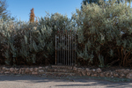 202501winery_2025-03-29_0035.jpg