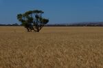 202102_Riverland_039.jpg