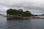 2014_Tassie_0538.jpg