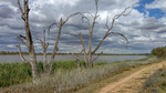 202102_Riverland_038.jpg