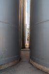 202501winery_2025-03-29_0015.jpg