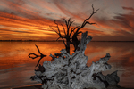 202502sunset_2025-03-22_Lake_Bonney_086.jpg