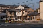 Japan_D_0678.jpg