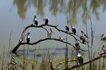 202102_Riverland_035.jpg