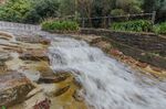 2017_Waterfall_Gully_18.jpg